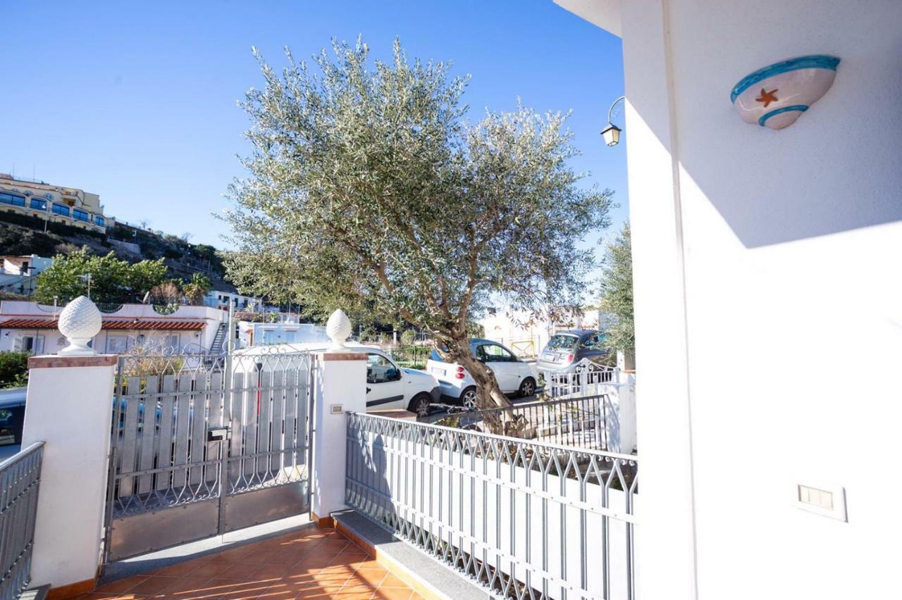 Casa Restituta Appartement Lacco Ameno  Buitenkant foto